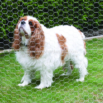 Cheap Chicken Wire Fencing